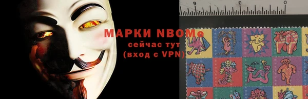 спиды Богородицк