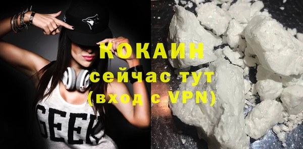спиды Богородицк