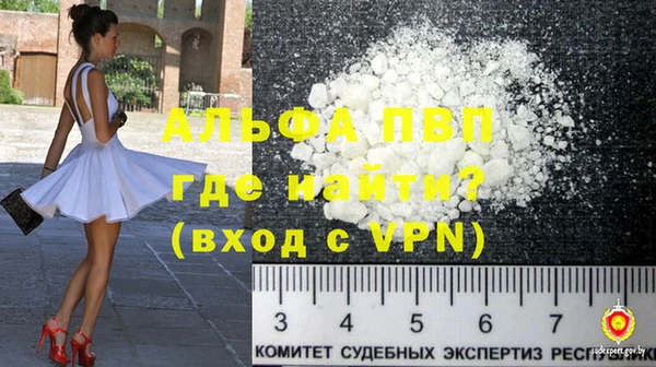 спиды Богородицк