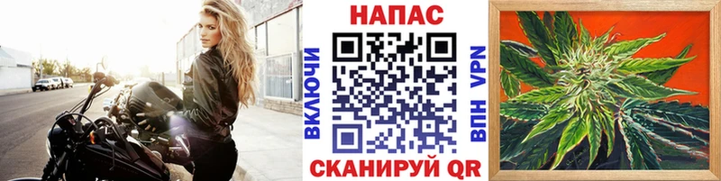 Купить  Михайловка  Канабис индика 